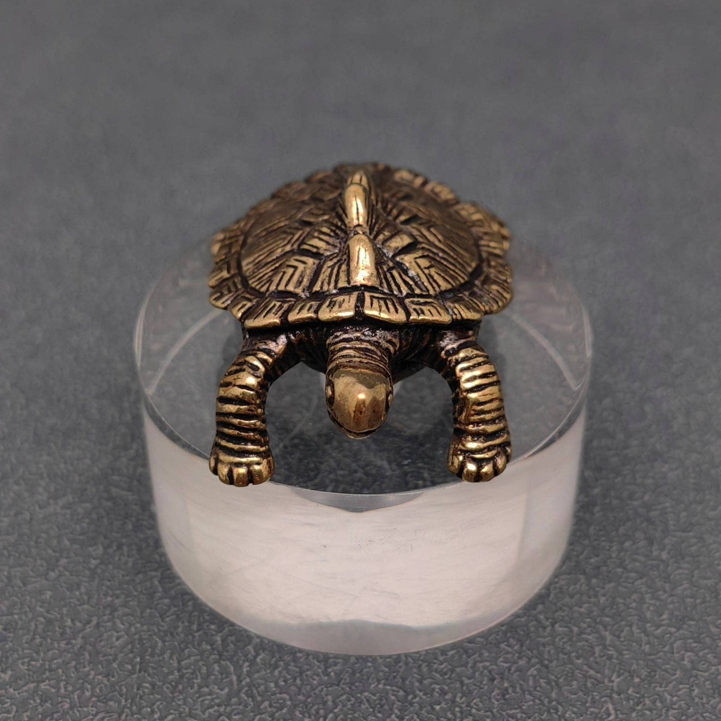Brass Money Turtle Desktop Ornaments Decorations