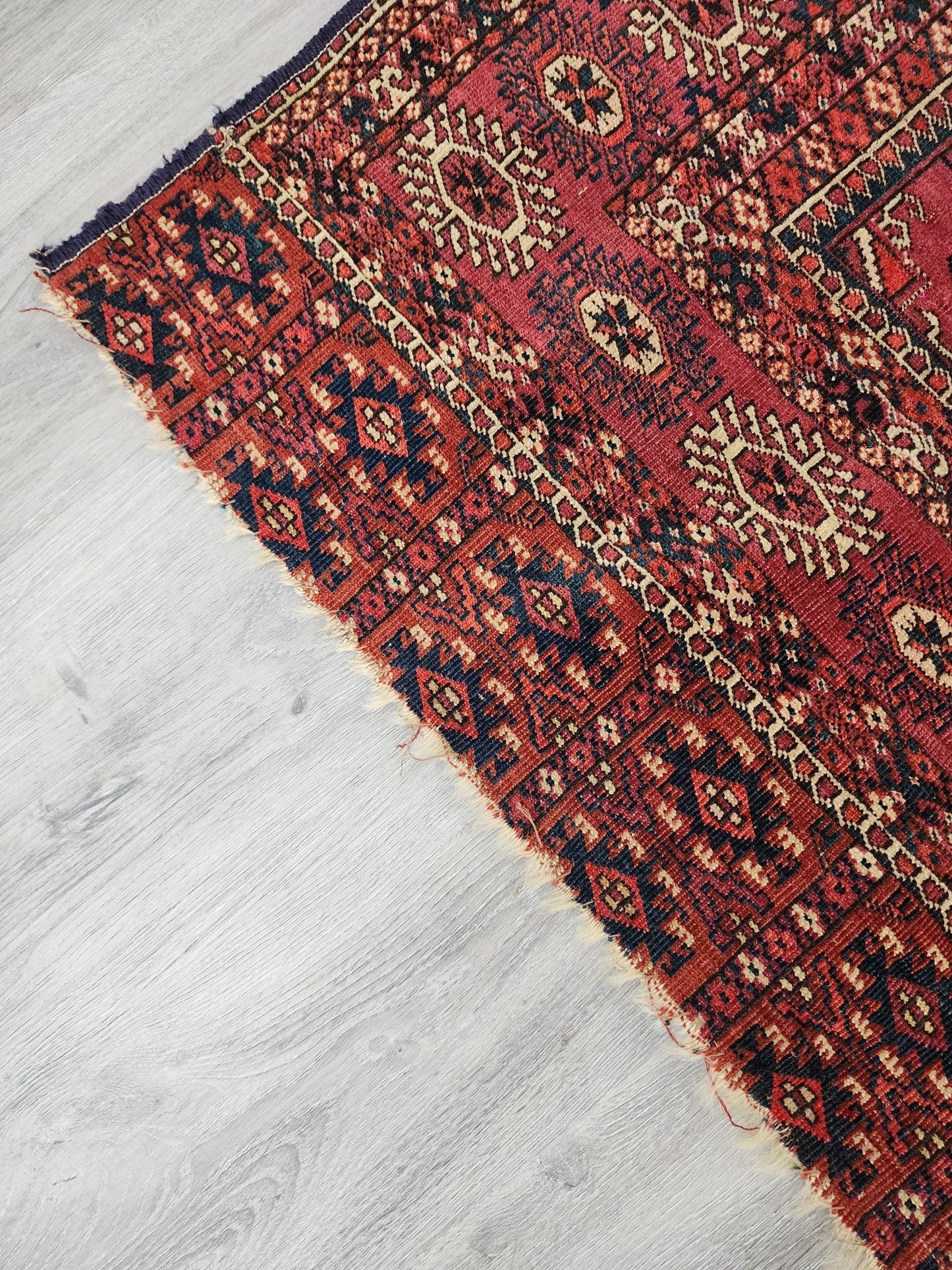 BB062302 Wool Bokhara Rug in Red - Vintage MC