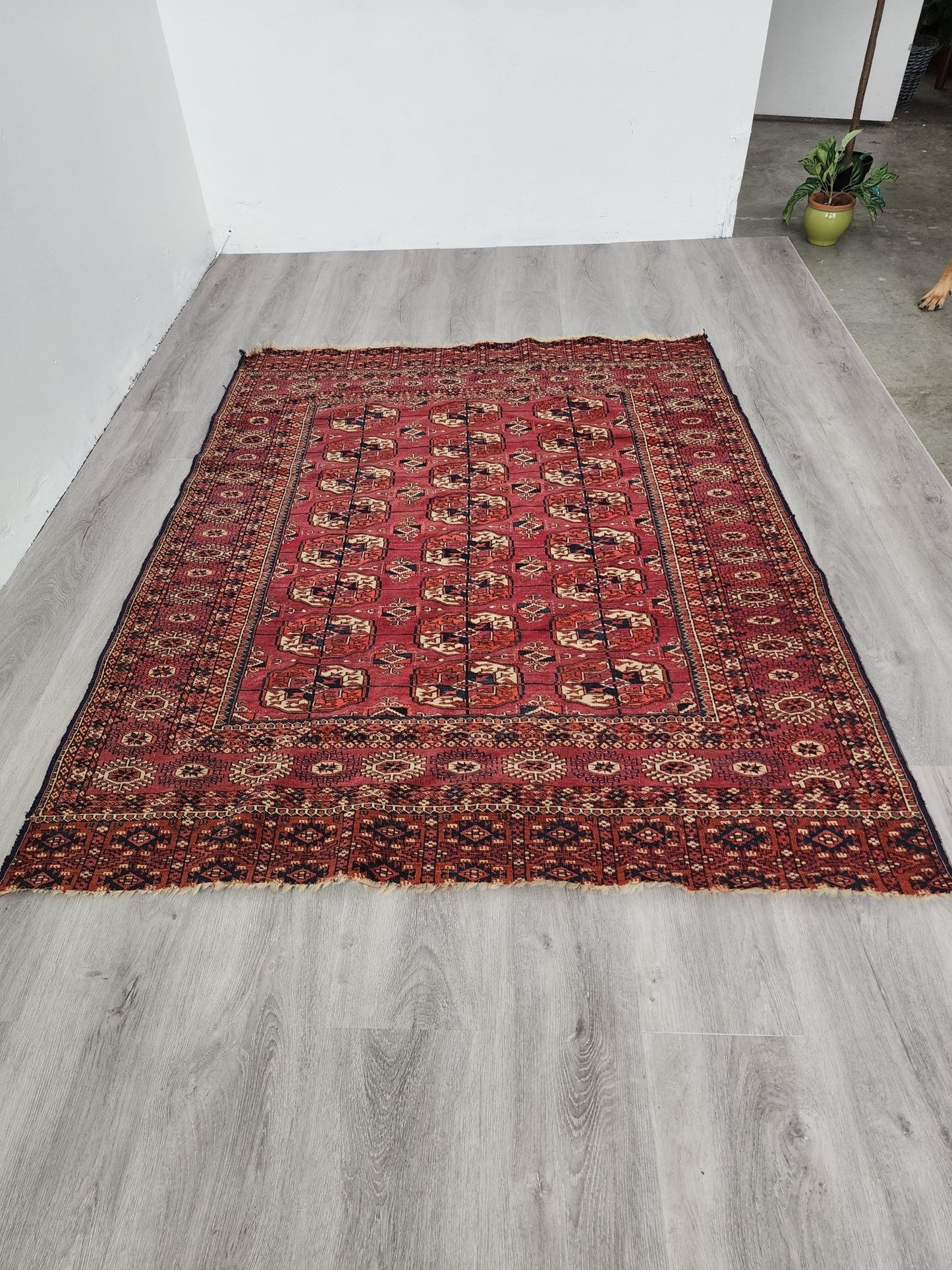 BB062302 Wool Bokhara Rug in Red - Vintage MC