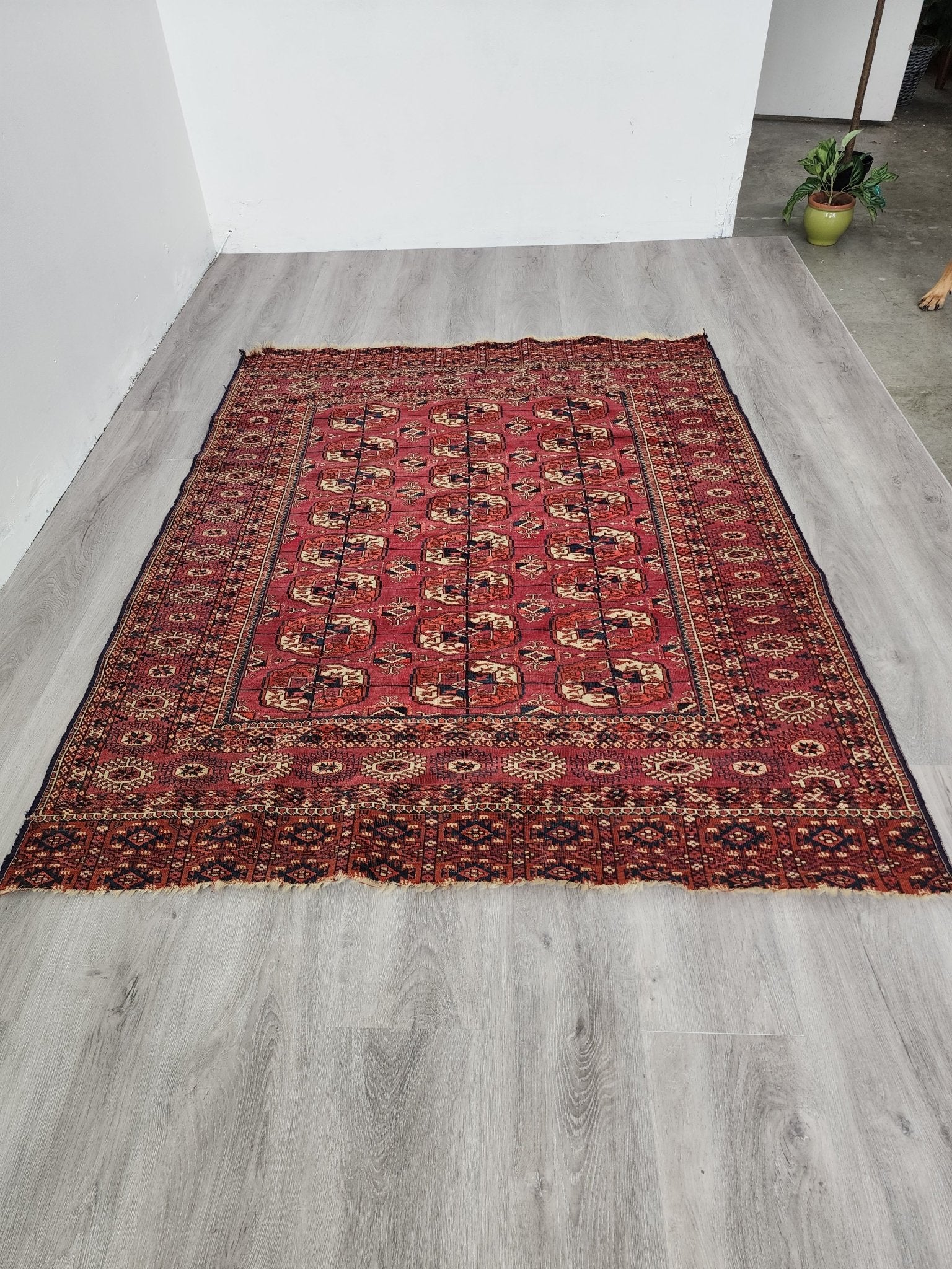 BB062302 Wool Bokhara Rug in Red - Vintage MC