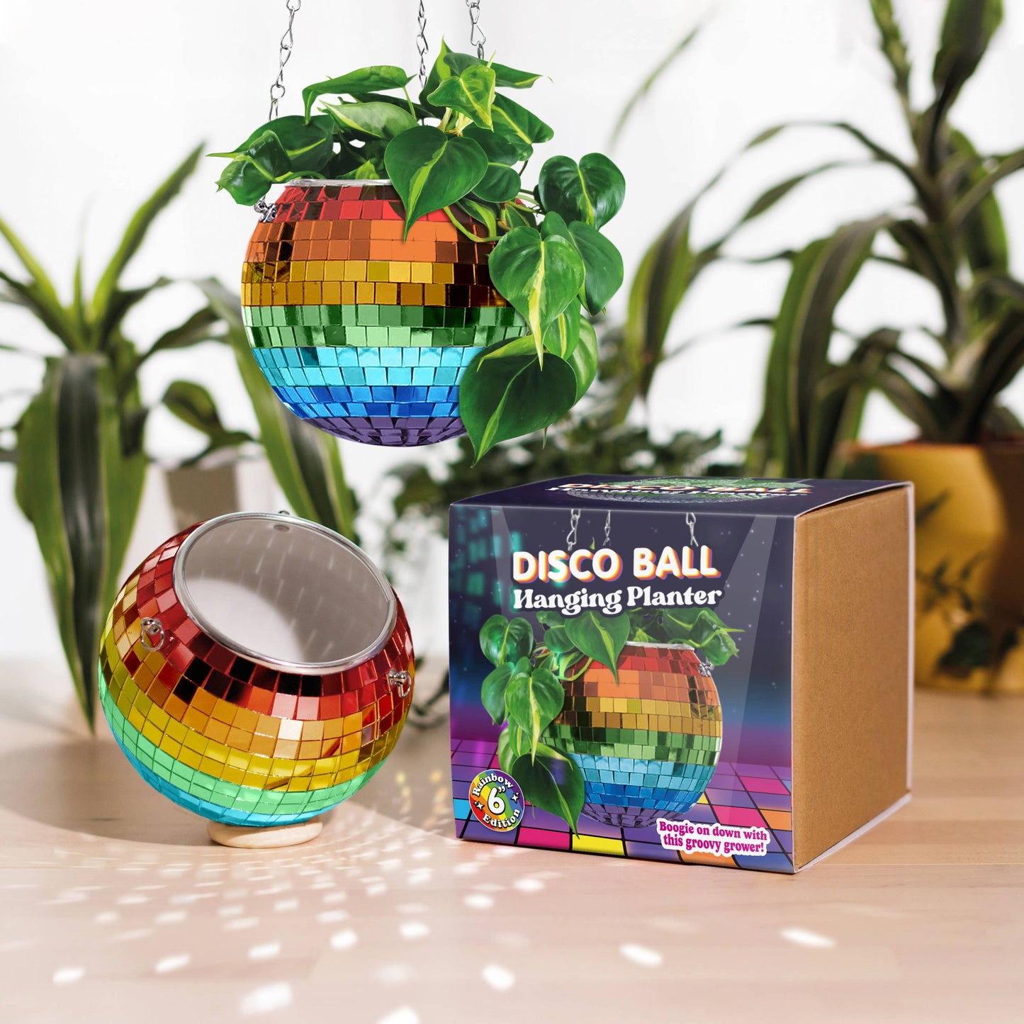 Disco Ball Hanging Planter - Rainbow 6"