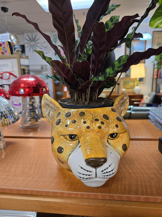 Leopard Planter - Vintage MC