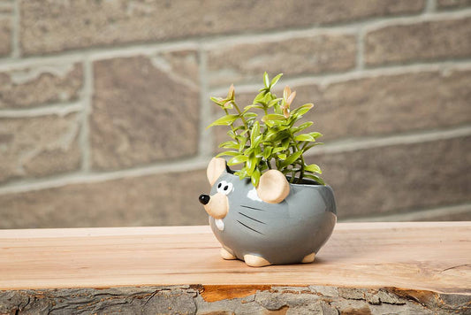 Mini Mouse Planter - Gry - 2"H - Vintage MC