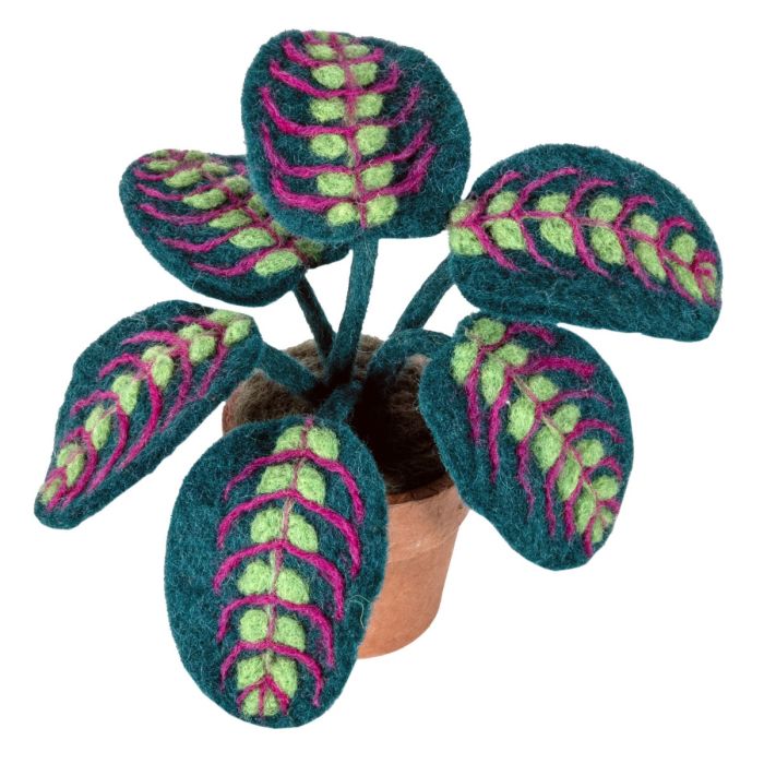 Felted Plant