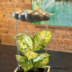 Stormy Cloud Plant Waterer - Vintage MC