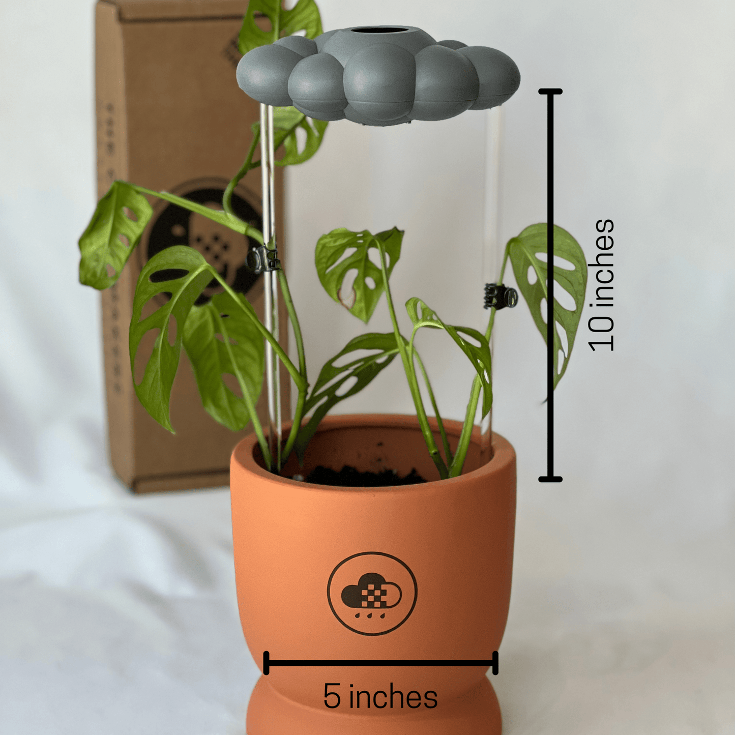 Stormy Cloud Plant Waterer - Vintage MC