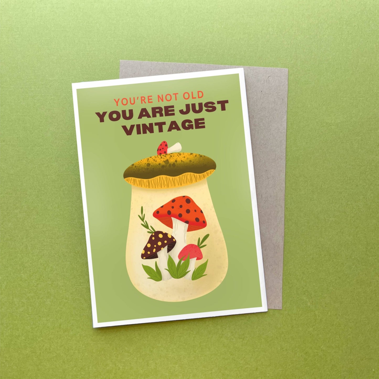Your Not Old, You Are Just Vintage, Retro Funny Bday Card - Vintage MC