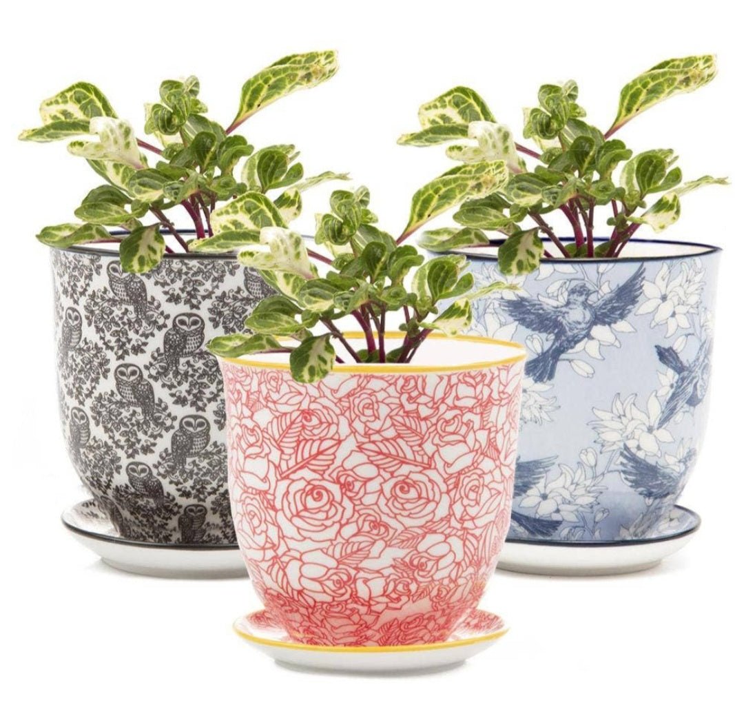 Plant and Garden Accessories - Vintage MC