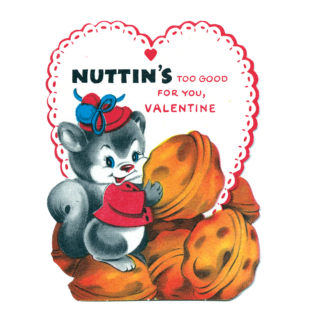 Funny Punny Valentines - Valentines Packet