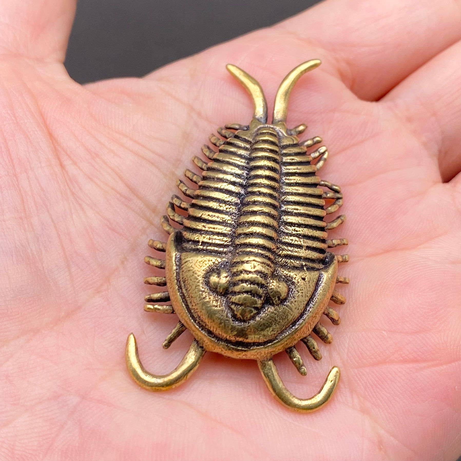 Brass Animal Ornament
