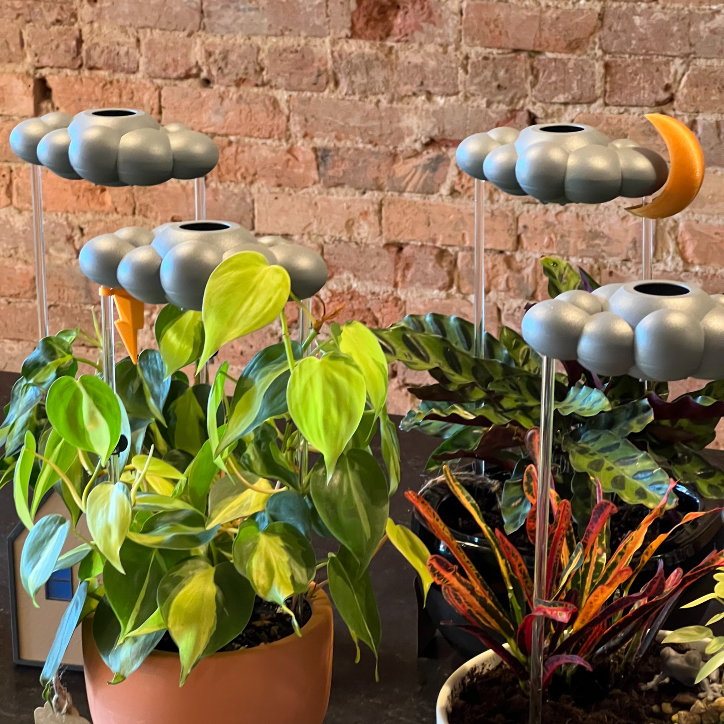 Stormy Cloud Plant Waterer