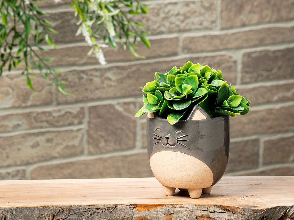 Lg Cat on Legs Planter-5"H-871