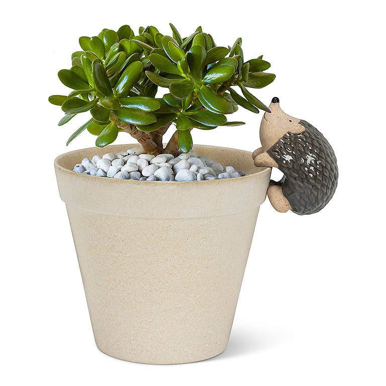 Climbing Hedgehog Pot Hanger-3.5"L-849