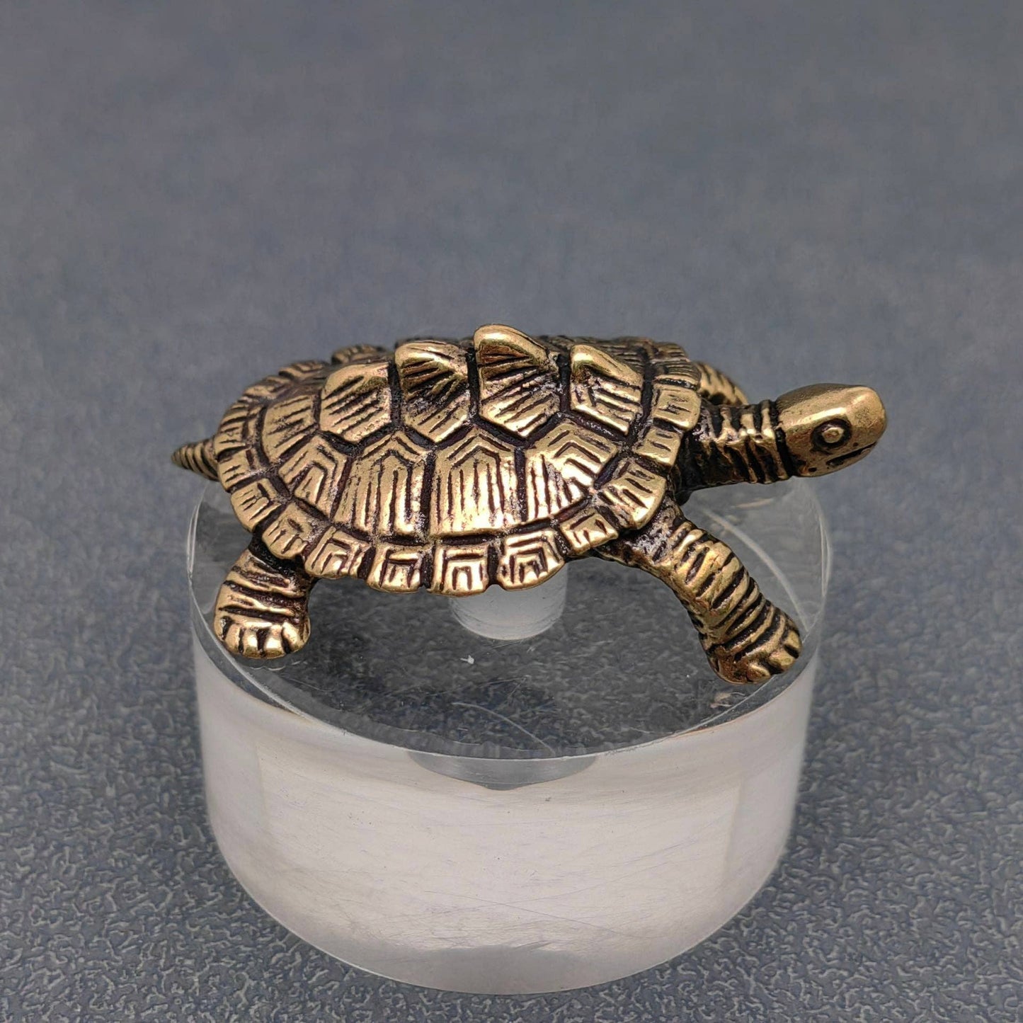 Brass Money Turtle Desktop Ornaments Decorations