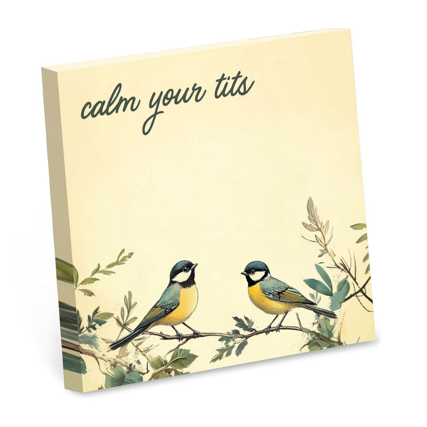 Calm Your Tits - Funny Sarcastic Sticky Note Pad