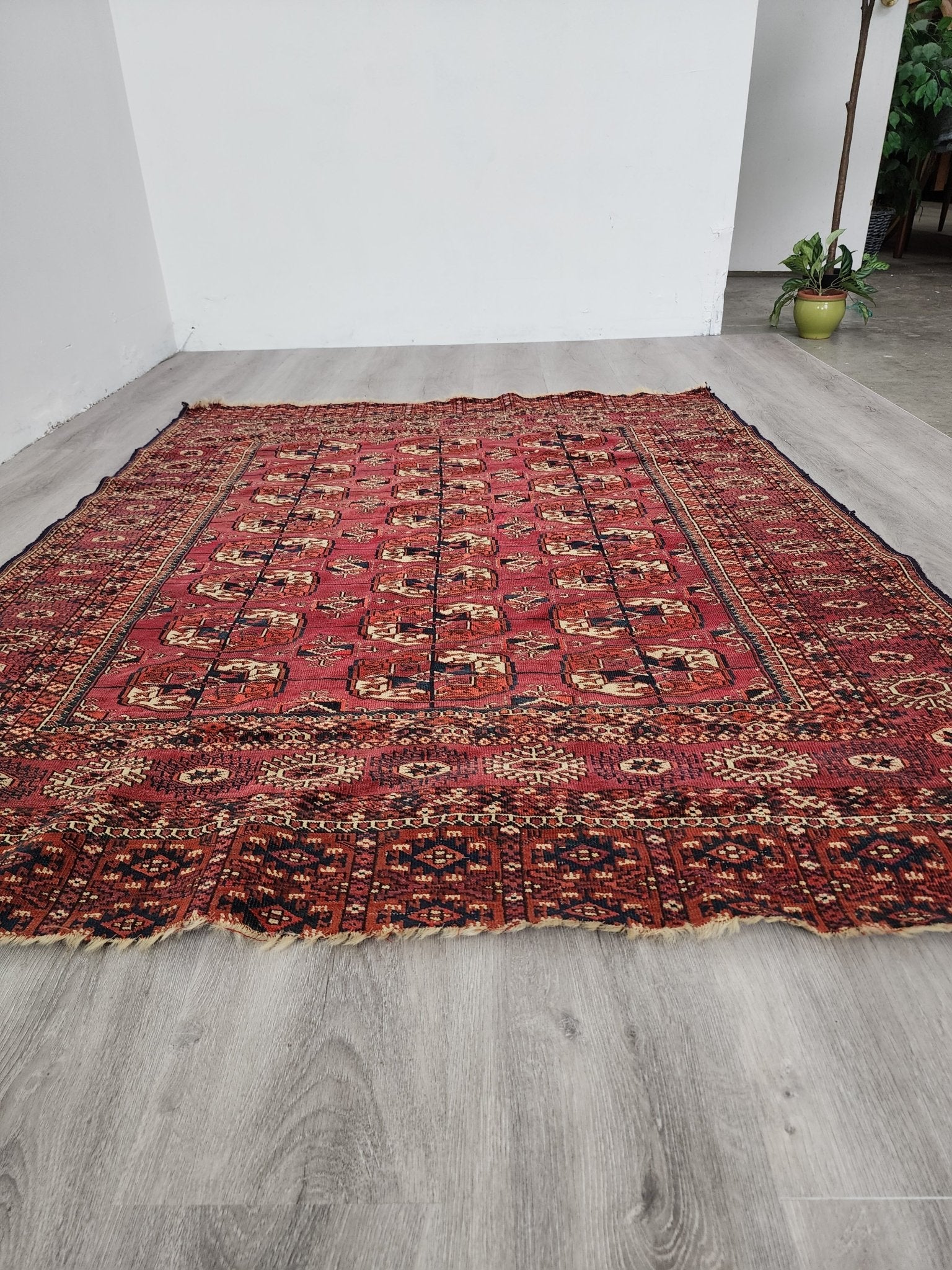 BB062302 Wool Bokhara Rug in Red - Vintage MC