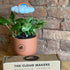 Charm for Dripping Rain Clouds - Vintage MC