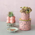 Cherry Debossed Planter - Vintage MC