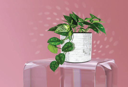 Disco Tabletop Planter - Vintage MC