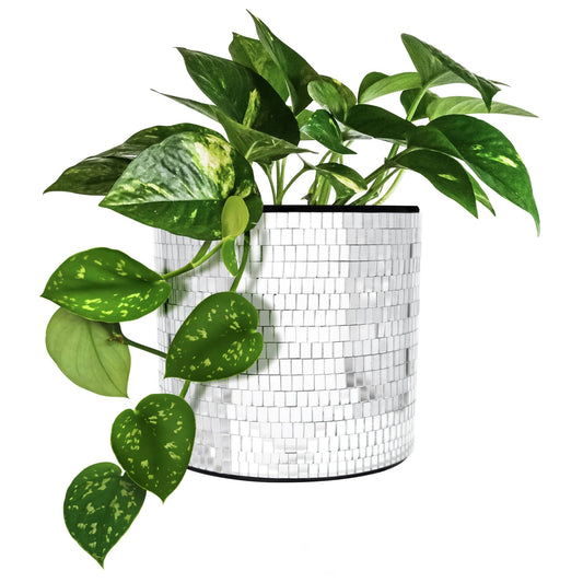 Disco Tabletop Planter - Vintage MC