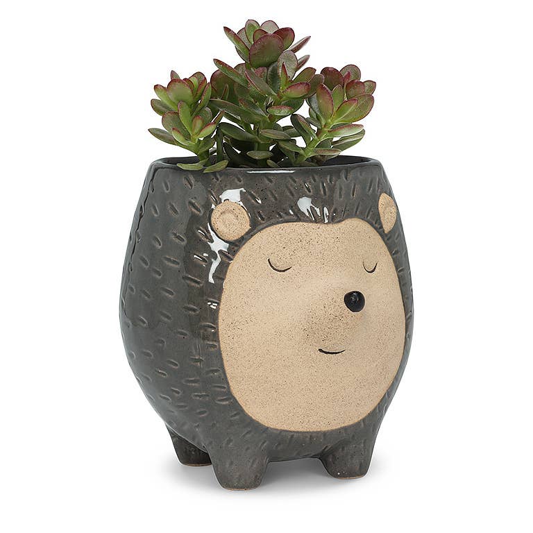 Tall Gry Hedgehog Planter-5"H