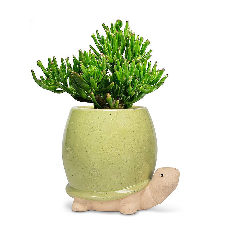 Tall Green Turtle Planter-5"H