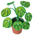 Felted Plant - Vintage MC