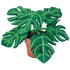 Felted Plant - Vintage MC
