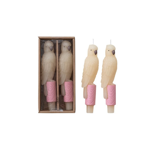 S/2 Unscented Parrot Taper Candles