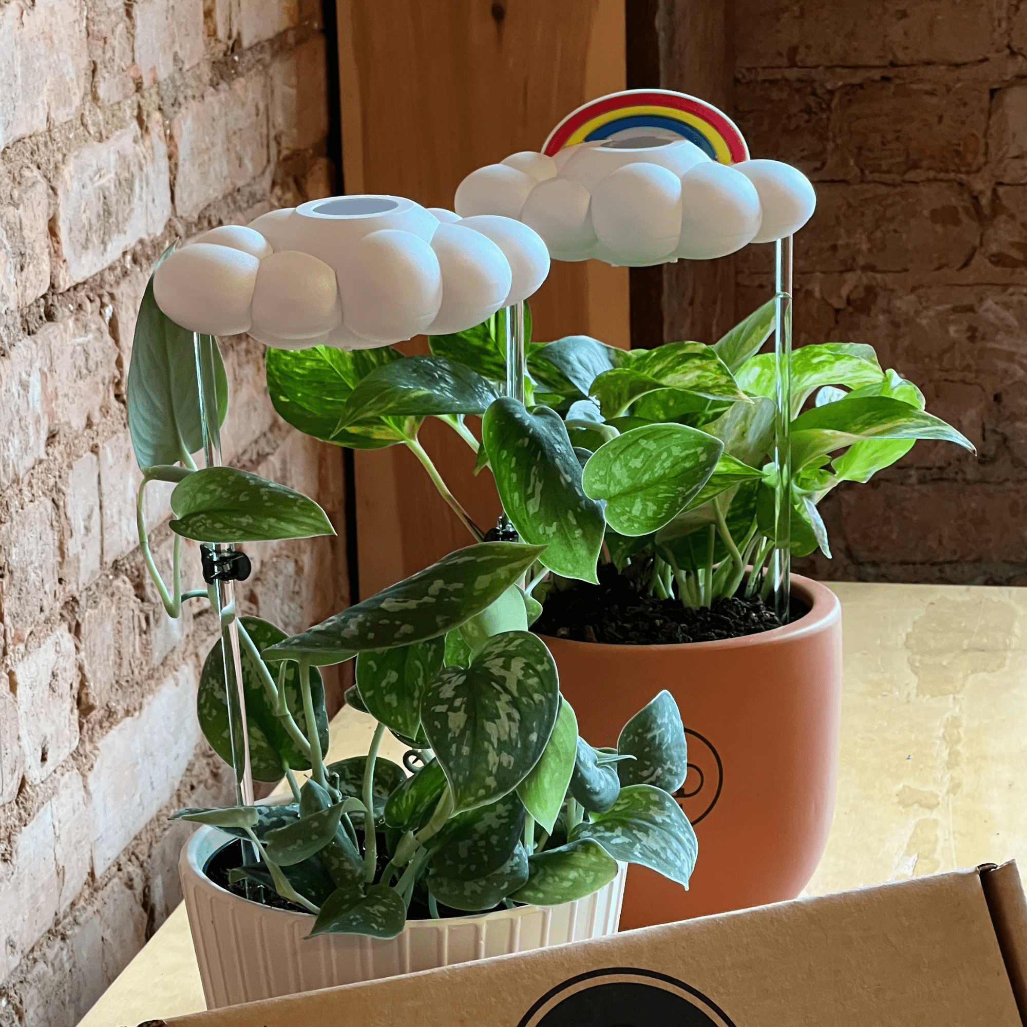 Original Cloud Drip Waterer - Vintage MC