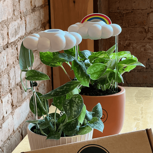 Original Cloud Drip Waterer - Vintage MC