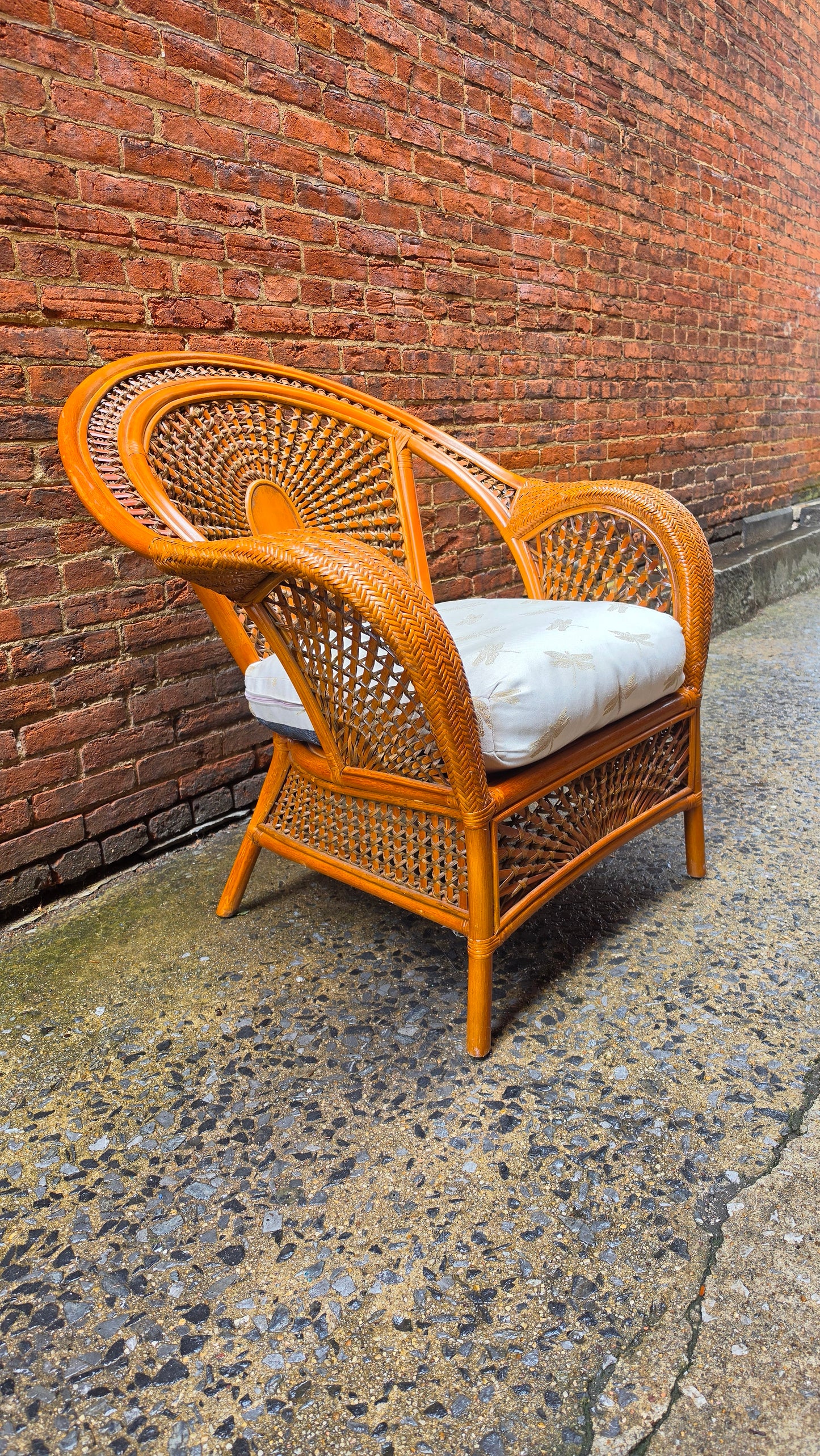 Vintage Rattan Lounge Chair