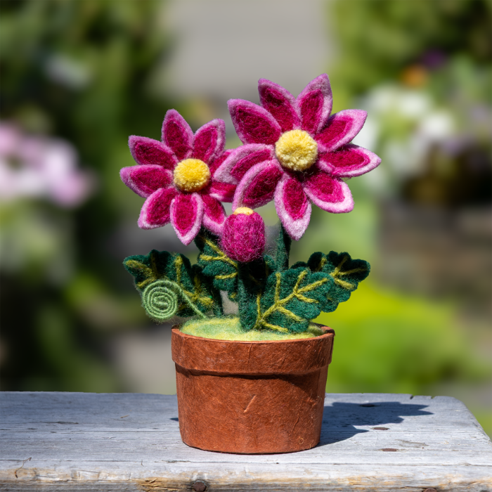 Felted Plant