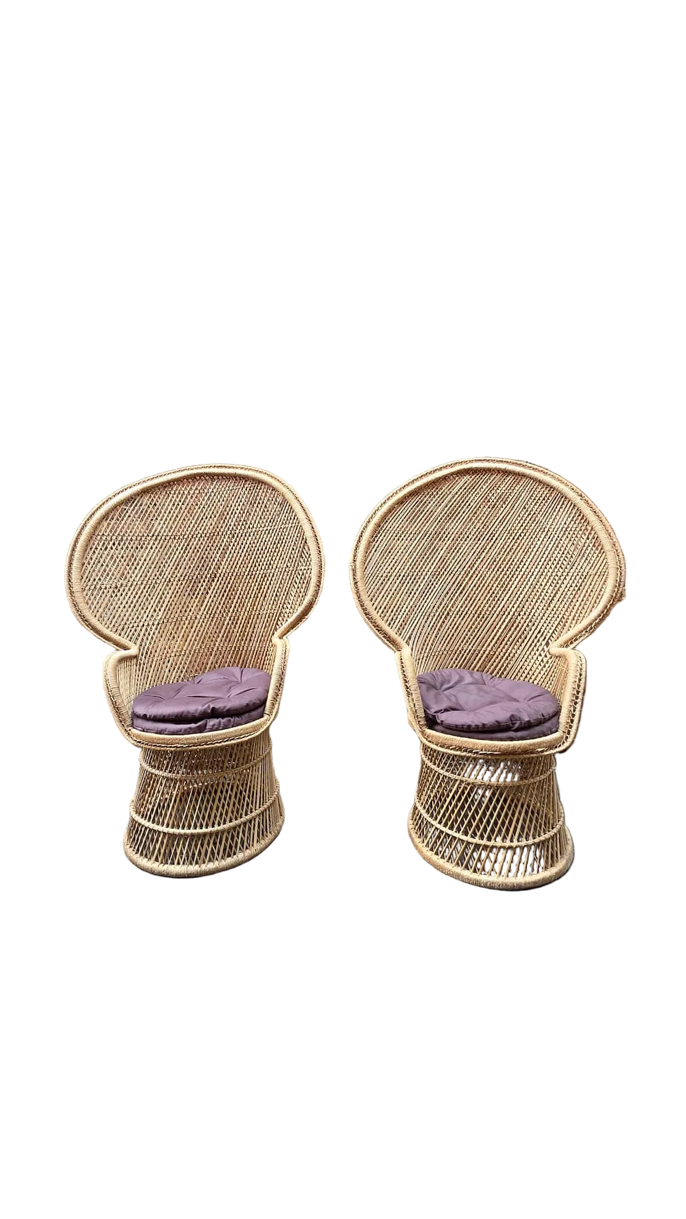 Pair of Wicker Peacock Chairs