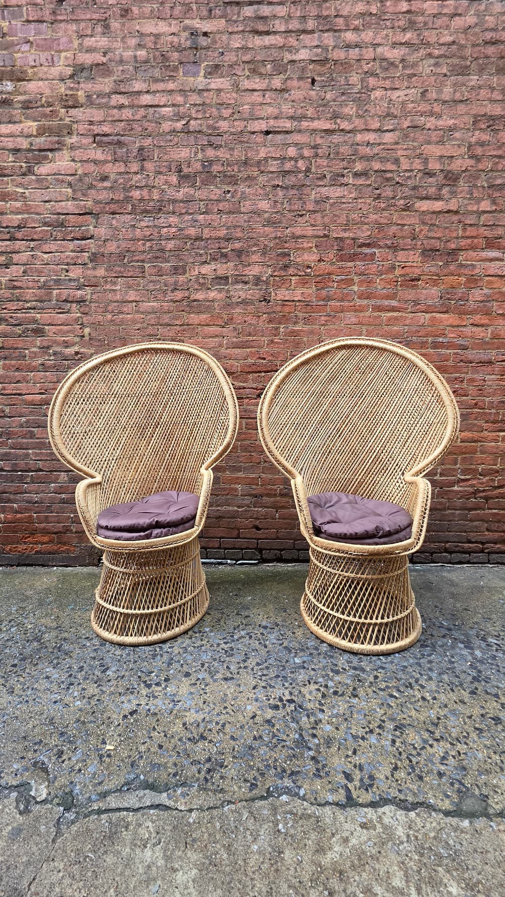 Pair of Wicker Peacock Chairs