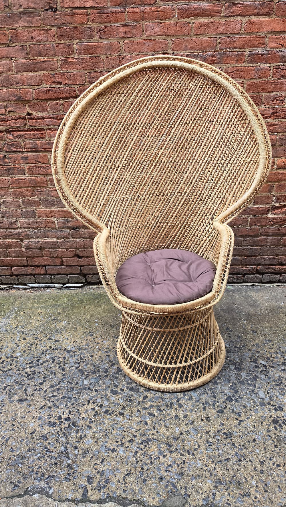 Pair of Wicker Peacock Chairs