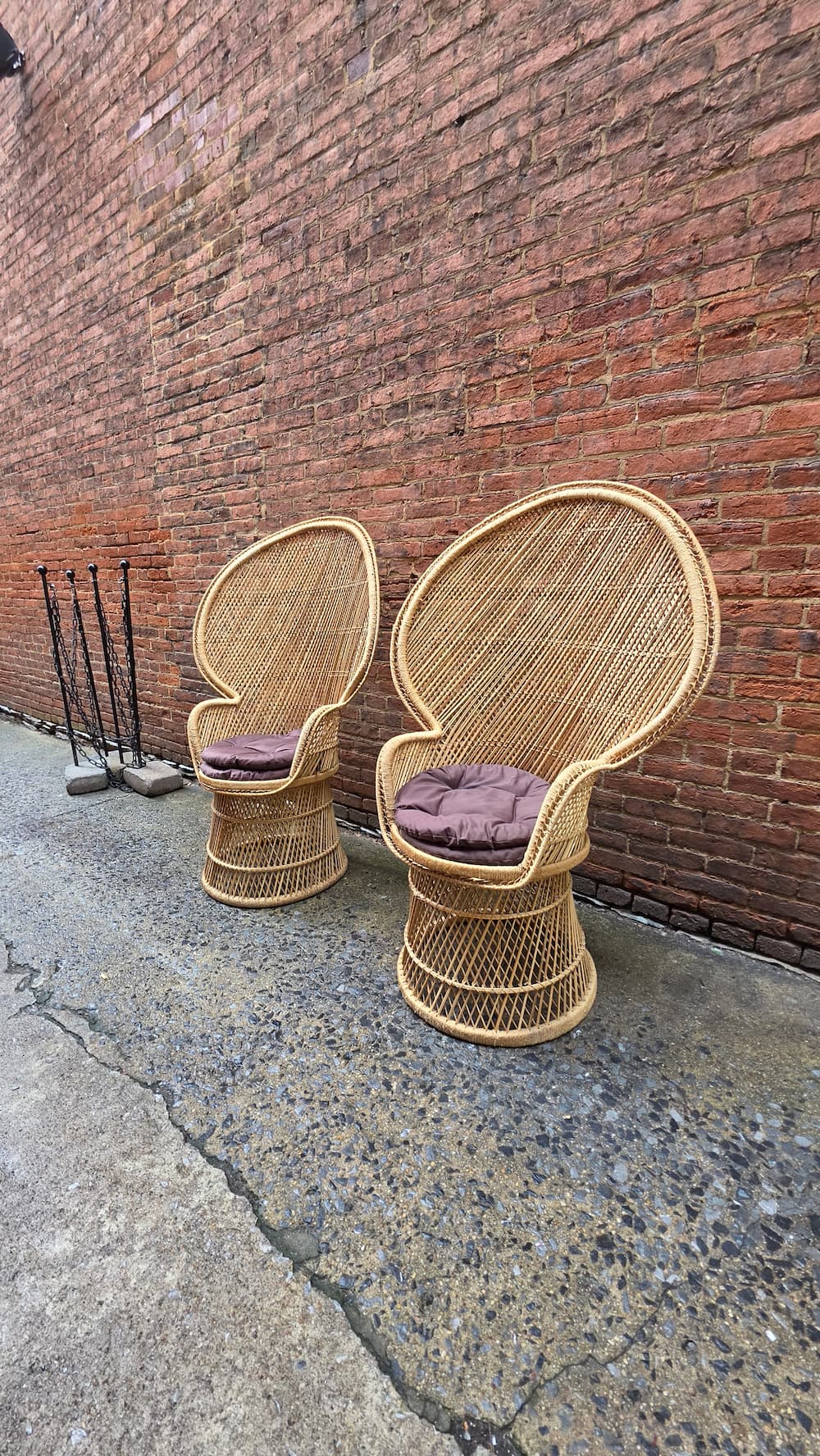 Pair of Wicker Peacock Chairs