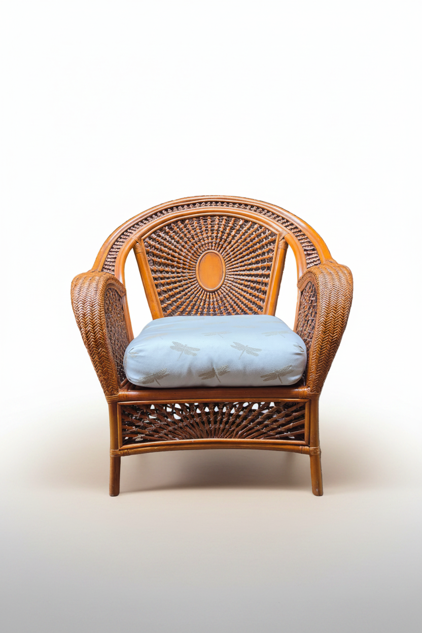 Vintage Rattan Lounge Chair