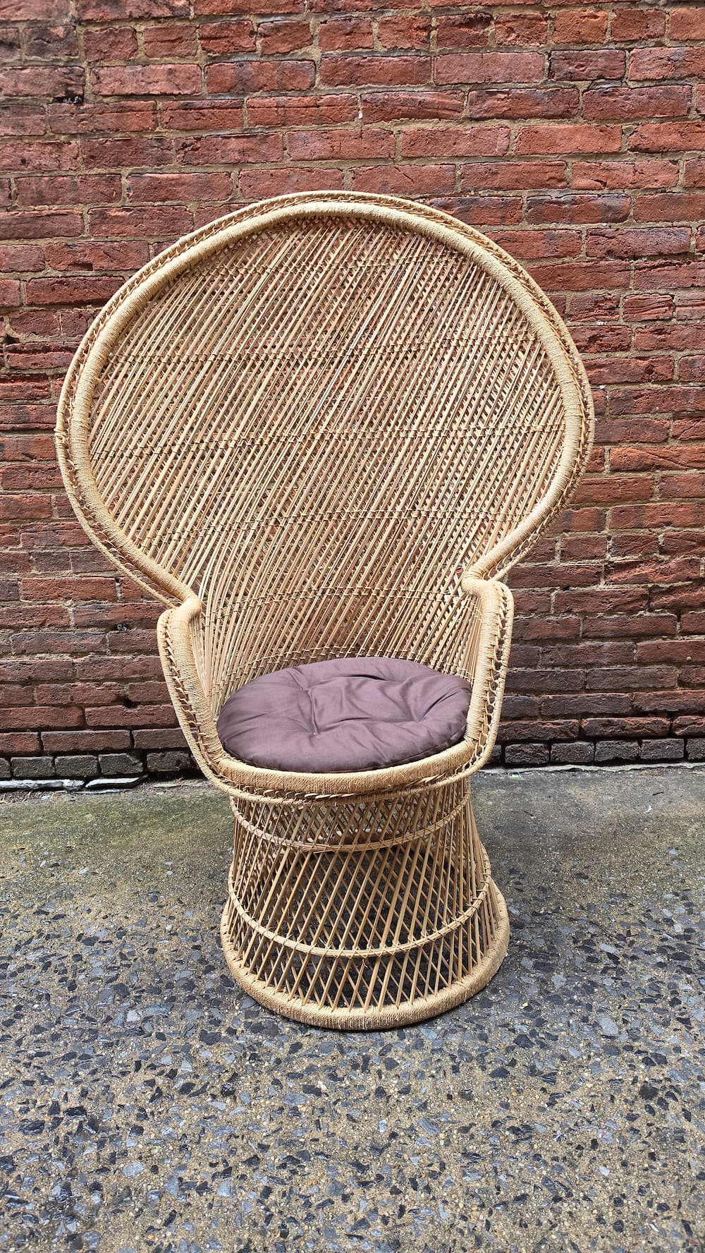 Pair of Wicker Peacock Chairs