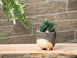 Sm Cat on Legs Planter - 3" H - Vintage MC