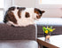 Sm Cat on Legs Planter - 3" H - Vintage MC