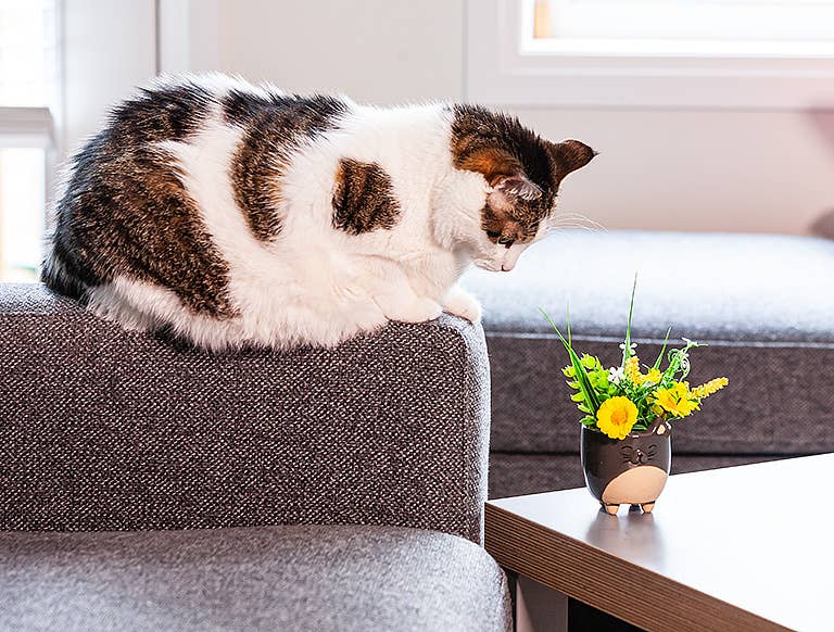 Sm Cat on Legs Planter - 3" H - Vintage MC