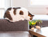 Sm Cat on Legs Planter - 3" H - Vintage MC