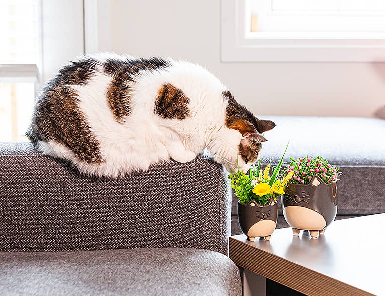 Sm Cat on Legs Planter - 3" H - Vintage MC