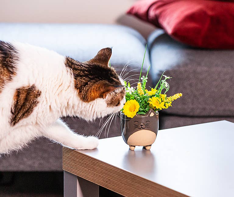 Sm Cat on Legs Planter - 3" H - Vintage MC