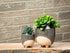Sm Cat on Legs Planter - 3" H - Vintage MC
