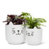 Sm Sleeping Cat Planter - 4.5"H - Vintage MC