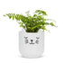 Sm Sleeping Cat Planter - 4.5"H - Vintage MC