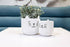 Sm Sleeping Cat Planter - 4.5"H - Vintage MC