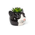 Small Black Cat Planter - 2.5"H - Vintage MC